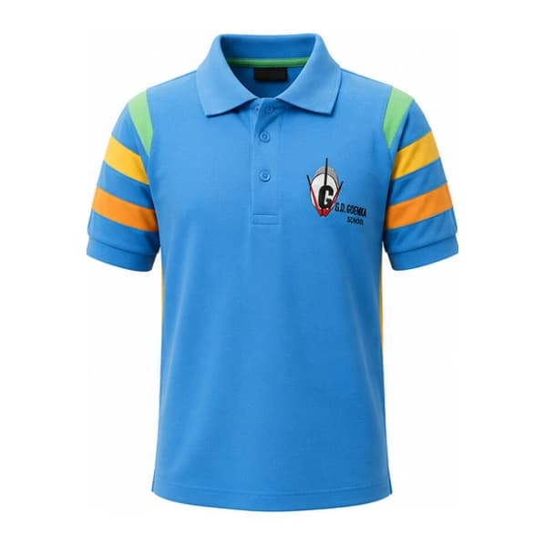 GD GOENKA BLUE T SHIRT