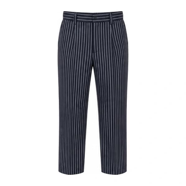 GD GOENKA WINTER BELT TROUSER