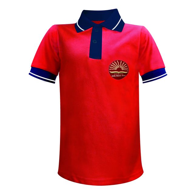 Buy D V Boys Cotton Regular Fit Uniform Shirt (26) Red and Blue at Amazon.in